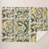 Butterfly Vintag Antique Butterfells Kunst Sherpadecke (Vorderseite (Horizontal))