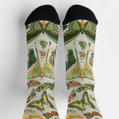 Butterfly Vintag Antique Butterfells Kunst Socken (Oben)