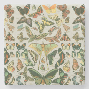 Butterfly Vintag Antique Butterfells Kunst Steinuntersetzer