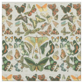 Butterfly Vintag Antique Butterfells Kunst Stoff (Nahaufnahme)