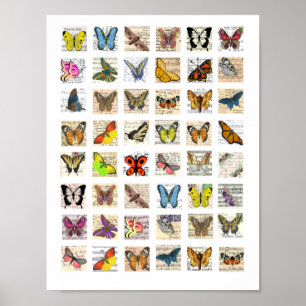Butterfly Vintag Postcard Art Collage Poster
