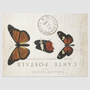 Butterfly Vintager französischer Carte Postale Dec Seidenpapier