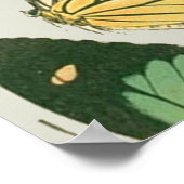 Butterfly Vintages Muster Schmetterlinge Malerei Poster (Ecke)