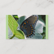 Butterfly-Visitenkarten