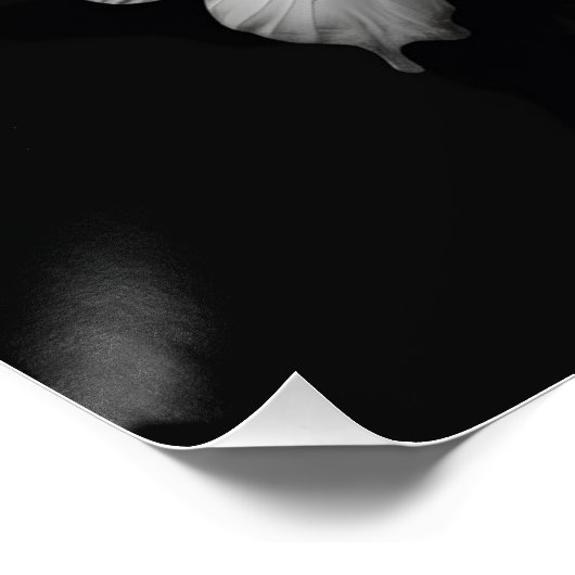 Butterfly Wall Art Glossy Poster (Ecke)