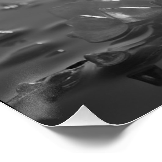 Butterfly Wall Art Glossy Poster (Ecke)