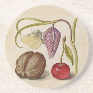 Butterfly Walnut Blume Cherry Wasserfarbe Kunst Getränkeuntersetzer