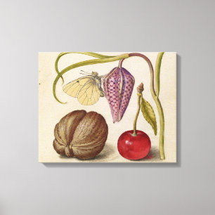 Butterfly Walnut Blume Cherry Wasserfarbe Kunst Leinwanddruck