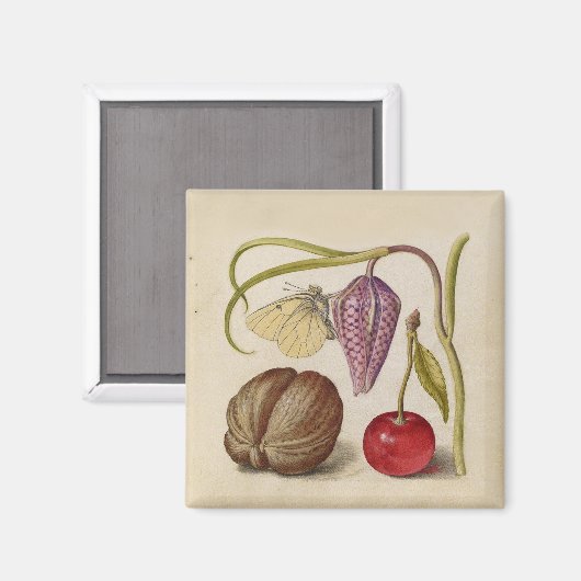 Butterfly Walnut Blume Cherry Wasserfarbe Kunst Magnet (Vorderseite/Rückseite)