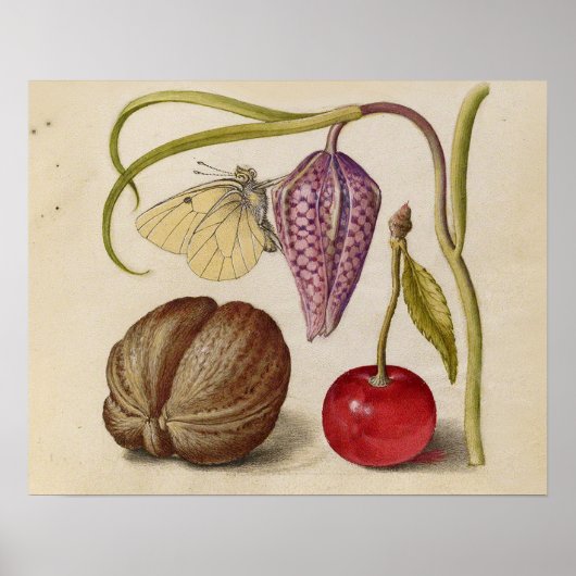 Butterfly Walnut Blume Cherry Wasserfarbe Kunst Poster (Vorne)