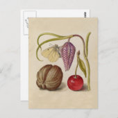 Butterfly Walnut Blume Cherry Wasserfarbe Kunst Postkarte (Vorne/Hinten)