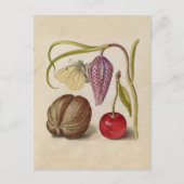 Butterfly Walnut Blume Cherry Wasserfarbe Kunst Postkarte (Vorderseite)