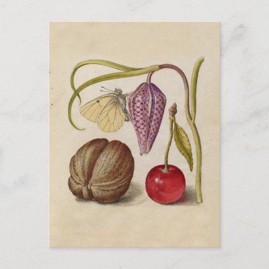 Butterfly Walnut Blume Cherry Wasserfarbe Kunst Postkarte (Vorderseite)