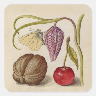 Butterfly Walnut Blume Cherry Wasserfarbe Kunst Quadratischer Aufkleber