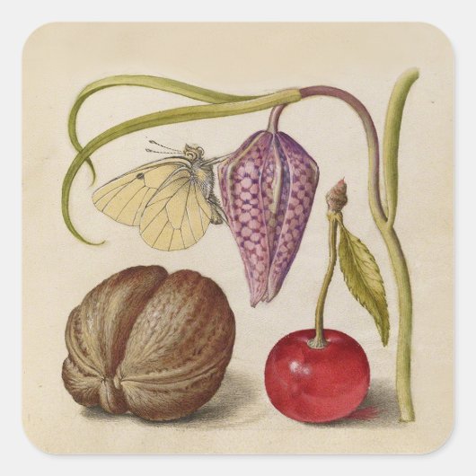 Butterfly Walnut Blume Cherry Wasserfarbe Kunst Quadratischer Aufkleber (Vorderseite)