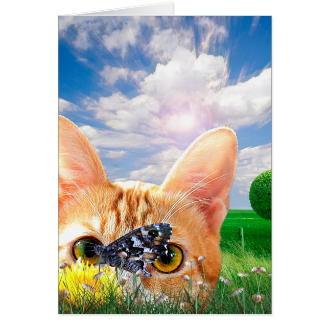 Butterfly Watcher (Vorne)