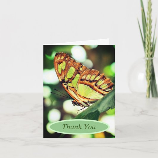Butterfly Watching Nature Personalisiert Danke Karte (Vorderseite)