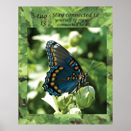 Butterfly Way 13 - Bleibe verbunden Poster (Vorne)