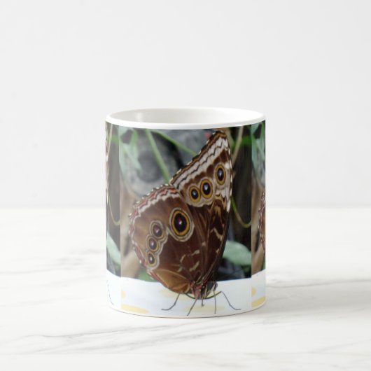 Butterfly White Coffee Tasse (Mittel)