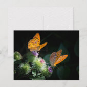 BUTTERFLY WILD LIFE INSECT POSTCROSSING POSTKARTE (Vorne/Hinten)