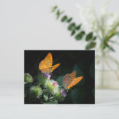 BUTTERFLY WILD LIFE INSECT POSTCROSSING POSTKARTE (Stehend Vorderseite)
