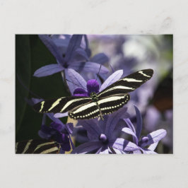 BUTTERFLY WILD LIFE INSECT POSTCROSSING POSTKARTE