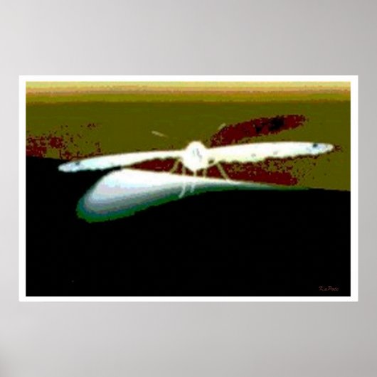 Butterfly Wings Abstrakt Poster (Vorne)