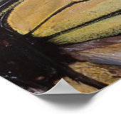 Butterfly Wings Poster (Ecke)