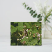 Butterfly with closed wings on a flower postkarte (Stehend Vorderseite)