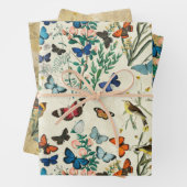 Butterfly Wrapping Paper Flat Sheet Set 3 Geschenkpapier Set (Beispiel)