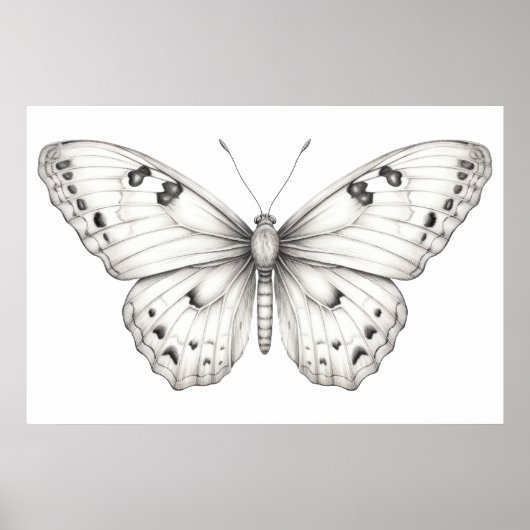 Butterfly zeichnend poster (Vorne)