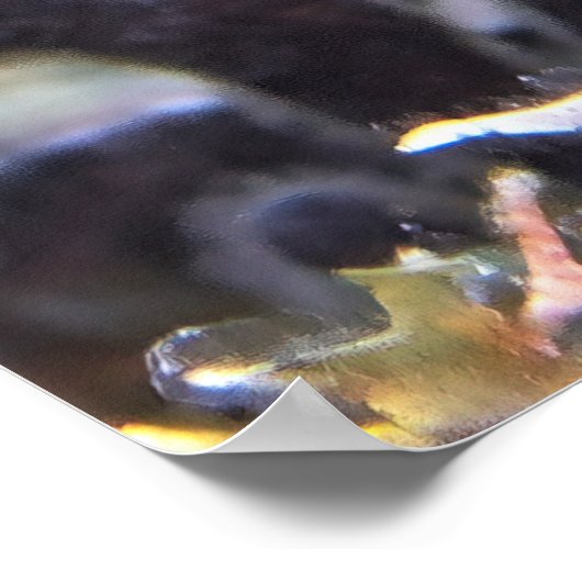 Butterflyfish Poster (Ecke)