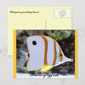 Butterflyfish Postkarte (Vorne/Hinten)