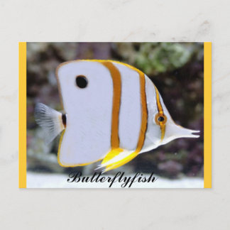 Butterflyfish Postkarte