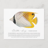 Butterflyfish Postkarte (Vorderseite)