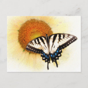 Butterflys, Flügel, Postkarten