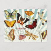 Butterflys Postkarte (Vorderseite)