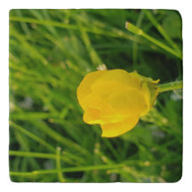 Butterkissen