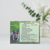 Buttermilch Fruchtsäfte Rezept Postkarte (Stehend Vorderseite)