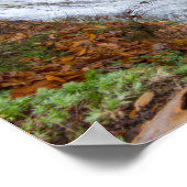 Buttermilk Falls, Cuyahoga Valley NP, Ohio Poster (Ecke)