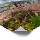 Buttermilk Falls, Cuyahoga Valley NP, Ohio Poster (Ecke)