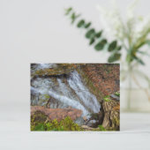 Buttermilk Falls, Cuyahoga Valley NP, Ohio Postkarte (Stehend Vorderseite)