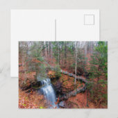 Buttermilk Falls, Indiana County, Pennsylvania Postkarte (Vorne/Hinten)