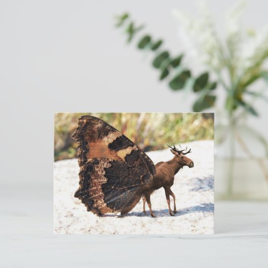 Buttermoose Postkarte (Stehend Vorderseite)