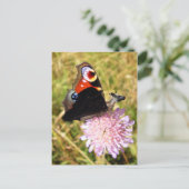 Buttermoose Postkarte (Stehend Vorderseite)