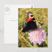 Buttermoose Postkarte (Vorne/Hinten)