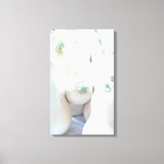 Butternut Squash Leinwanddruck