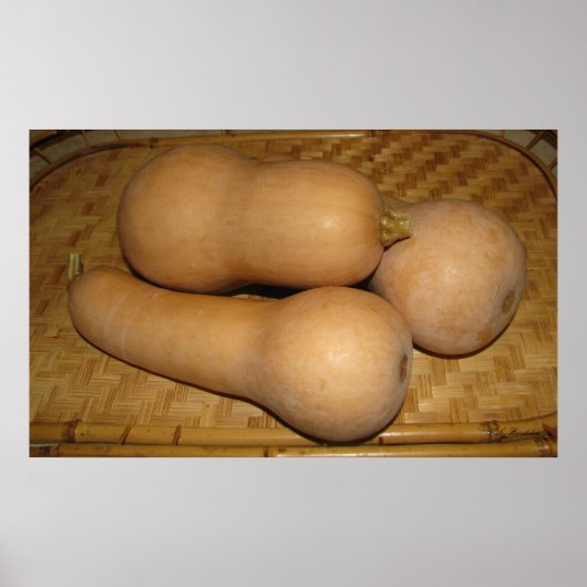Butternut Squash Poster (Vorne)