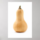 Butternut Squash Poster (Vorne)