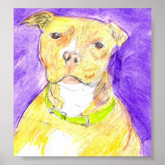 Butterscotch Poster (Vorne)